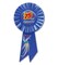 Beistle Pack of 6 Blue "75 and Splendid" Birthday Party Celebration Rosette Ribbons 6.5"